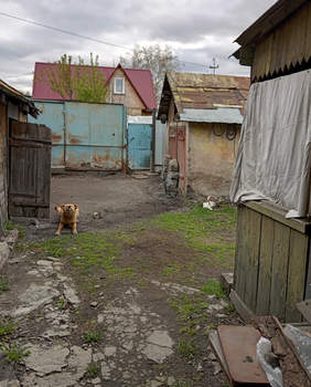 Дом 60м², 1-этажный, участок 7 сот.  