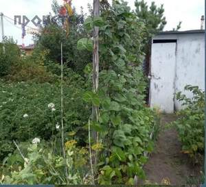 Дом 18м&sup2;, 1-этажный, участок 3 сот.  