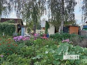 Дом 10м&sup2;, 1-этажный, участок 7 сот.  