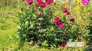 Дом 32м&sup2;, 2-этажный, участок 7 сот.  