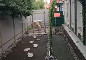 Дом 61м², 2-этажный, участок 4 сот.  