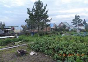 Дом 34м², 1-этажный, участок 8 сот.  