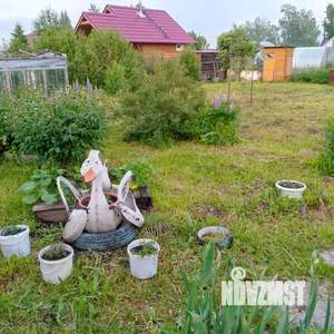 Дом 50м&sup2;, 2-этажный, участок 6 сот.  