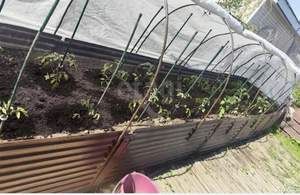 Дом 60м², 2-этажный, участок 4 сот.  