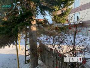 Дом 120м², 2-этажный, участок 6 сот.  