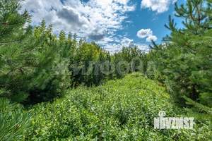 Дом 20м², 1-этажный, участок 10 сот.  