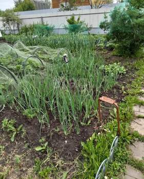 Дом 40м&sup2;, 2-этажный, участок 5 сот.  