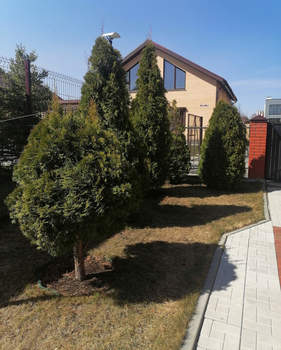 Дом 320м², 2-этажный, участок 575 сот.  
