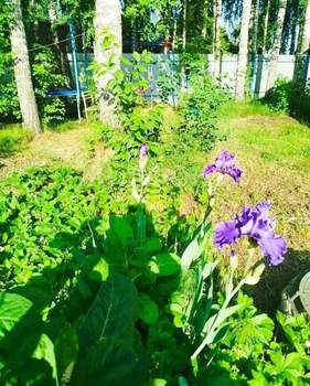 Дом 38м&sup2;, 2-этажный, участок 9 сот.  