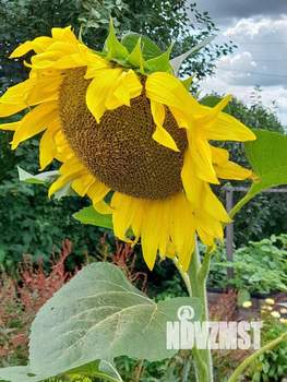 Дом 30м&sup2;, 2-этажный, участок 8 сот.  