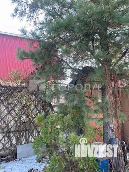 Дом 40м², 2-этажный, участок 7 сот.  