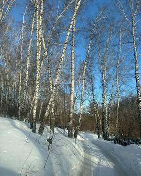 Дом 65м&sup2;, 1-этажный, участок 2 сот.  