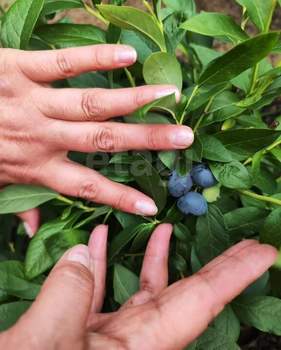 Дом 372м&sup2;, 3-этажный, участок 15 сот.  