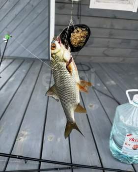 Дом 48м², 2-этажный, участок 4 сот.  