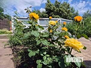 Дом 37м², 2-этажный, участок 4 сот.  