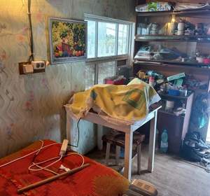 Дом 22м&sup2;, 1-этажный, участок 4 сот.  