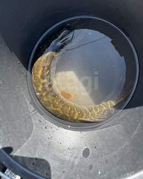 Дом 48м², 2-этажный, участок 4 сот.  