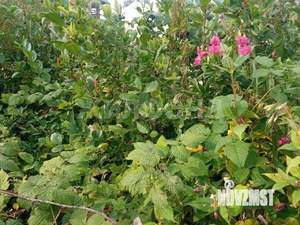 Дом 28м², 2-этажный, участок 5 сот.  