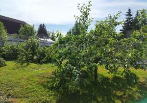 Дом 124м&sup2;, 1-этажный, участок 11 сот.  