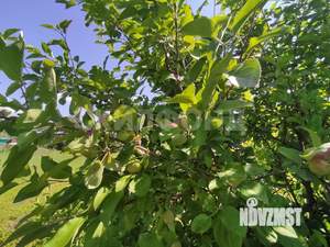 Дом 104м², 1-этажный, участок 10 сот.  