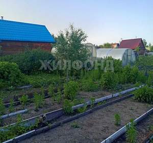 Дача 20м², 2-этажный, участок 7 сот.  