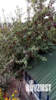 Дом 30м², 2-этажный, участок 4 сот.  