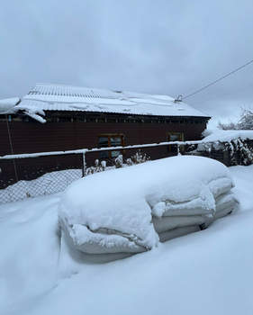 Дом 100м&sup2;, 1-этажный, участок 6 сот.  