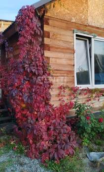 Дом 132м&sup2;, 1-этажный, участок 6 сот.  