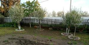 Дом 30м&sup2;, 2-этажный, участок 10 сот.  