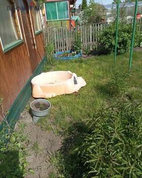 Дом 22м&sup2;, 1-этажный, участок 3 сот.  