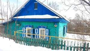 Дом 37м&sup2;, 1-этажный, участок 9 сот.  