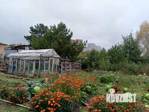 Дом 70м², 1-этажный, участок 18 сот.  