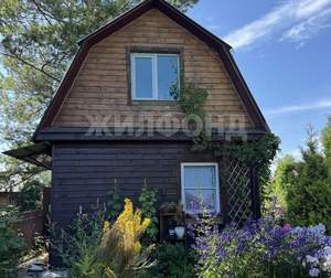 Дом 50м&sup2;, 2-этажный, участок 4 сот.  