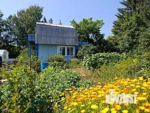 Дом 45м&sup2;, 2-этажный, участок 6 сот.  