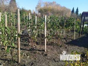 Дом 95м², 2-этажный, участок 6 сот.  