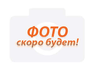 Дом 78м&sup2;, 1-этажный, участок 3 сот.  