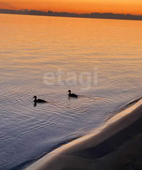 Дом 64м&sup2;, 2-этажный, участок 736 сот.  