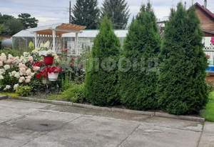 Дом 150м&sup2;, 2-этажный, участок 11 сот.  