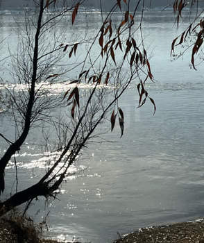 Дом 64м&sup2;, 2-этажный, участок 736 сот.  