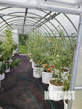 Дом 30м&sup2;, 2-этажный, участок 6 сот.  