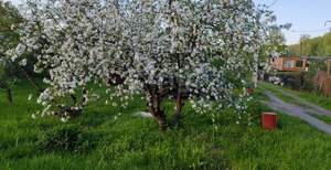 Дом 48м&sup2;, 2-этажный, участок 10 сот.  