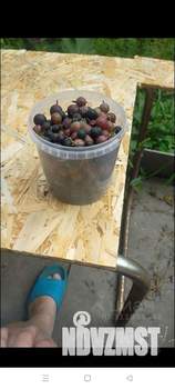 Дом 42м&sup2;, 2-этажный, участок 4 сот.  