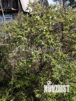 Дом 40м&sup2;, 2-этажный, участок 4 сот.  