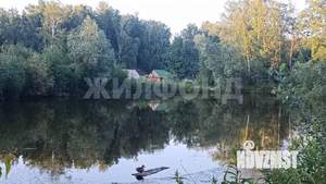 Дача 20м², 2-этажный, участок 11 сот.  