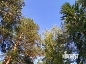Дом 750м², 1-этажный, участок 7 сот.  