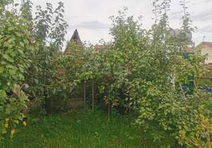 Дом 70м², 1-этажный, участок 9 сот.  