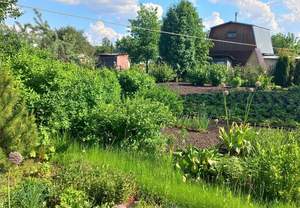 Дом 22м&sup2;, 1-этажный, участок 4 сот.  