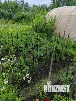 Дом 30м&sup2;, 2-этажный, участок 4 сот.  