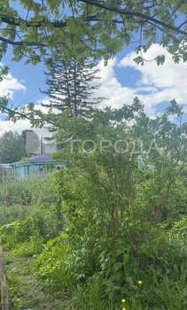 Дом 50м&sup2;, 1-этажный, участок 6 сот.  