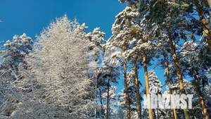 Дом 36м&sup2;, 1-этажный, участок 3 сот.  